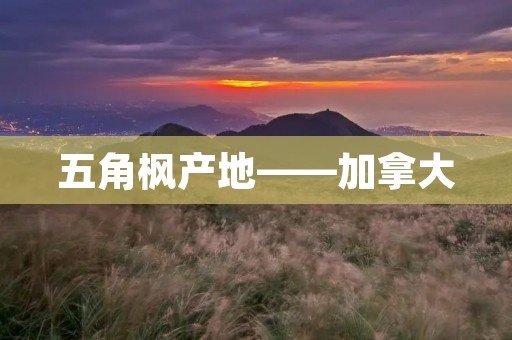 五角枫产地——加拿大