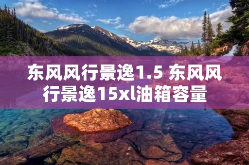 东风风行景逸1.5 东风风行景逸15xl油箱容量