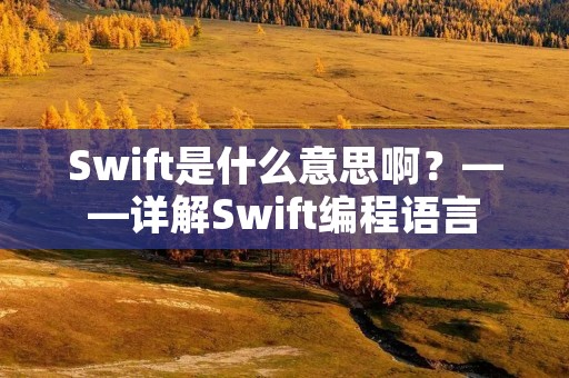 Swift是什么意思啊?——详解Swift编程语言
