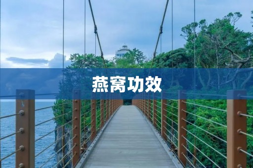 燕窝功效：滋补养生，美容养颜，提高免疫力