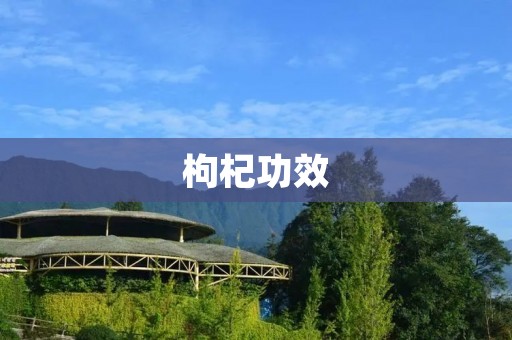 枸杞功效:神奇的中药材,具有多种保健功效 枸杞功效:神奇的中药材,具有多种保健功效