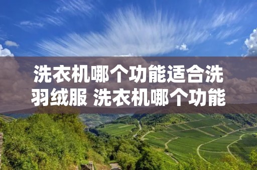 洗衣机哪个功能适合洗羽绒服 洗衣机哪个功能适合洗羽绒服羊毛真丝化纤