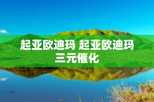起亚欧迪玛 起亚欧迪玛三元催化