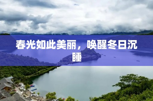 春光如此美丽,唤醒冬日沉睡
