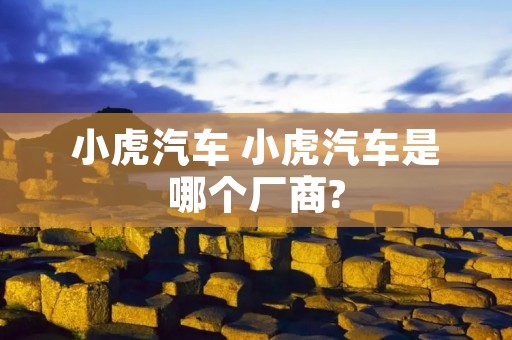 小虎汽车 小虎汽车是哪个厂商?