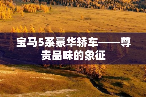 宝马5系豪华轿车——尊贵品味的象征 宝马5系豪华轿车——尊贵品味的象征