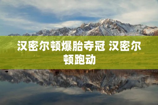 汉密尔顿爆胎夺冠 汉密尔顿跑动