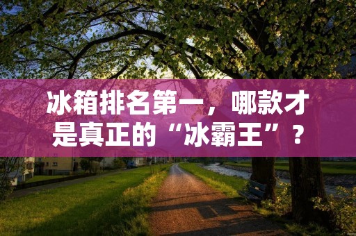 冰箱排名第一，哪款才是真正的“冰霸王”？
