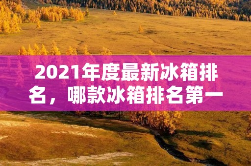 2021年度最新冰箱排名，哪款冰箱排名第一？