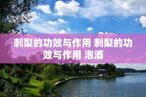 刺梨的功效与作用 刺梨的功效与作用 泡酒