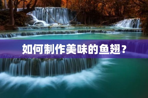 如何制作美味的鱼翅？