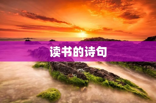 读书的诗句