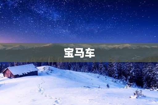 宝马车：德系豪车的代表