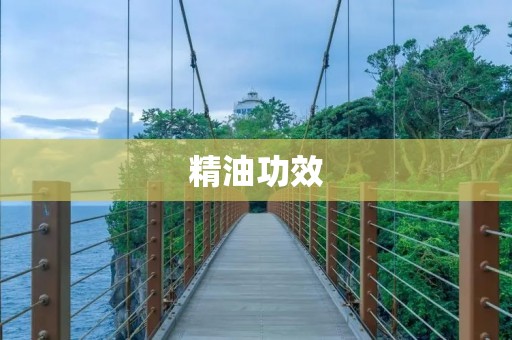 精油功效：让你拥有健康美丽的身心灵