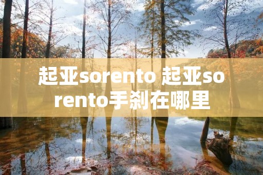起亚sorento 起亚sorento手刹在哪里
