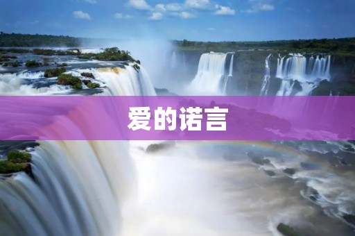 爱的诺言：永恒的承诺