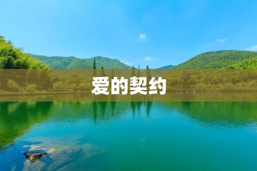 爱的契约：如何建立一份健康的感情协议