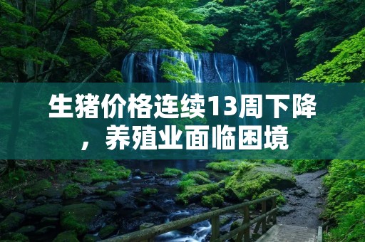 生猪价格连续13周下降,养殖业面临困境 生猪价格连续13周下降,养殖业面临困境