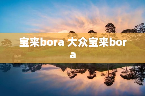 宝来bora 大众宝来bora 宝来bora 大众宝来bora