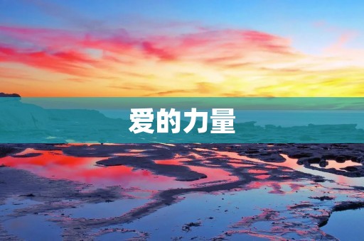 爱的力量：让我们一起拥抱这个世界