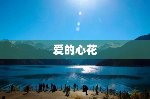 爱的心花：用爱点缀生命的美好