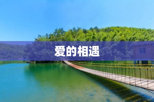 爱的相遇：命中注定的邂逅