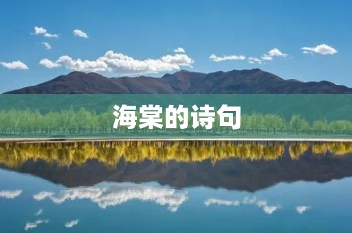 海棠的诗句