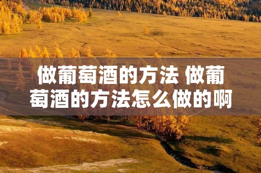 做葡萄酒的方法 做葡萄酒的方法怎么做的啊