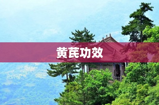 黄芪功效:黄芪的药理作用及应用 黄芪功效:黄芪的药理作用及应用