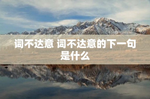 词不达意 词不达意的下一句是什么