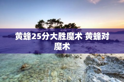 黄蜂25分大胜魔术 黄蜂对魔术