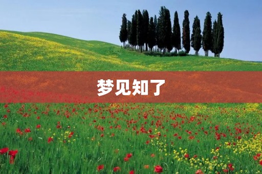 梦见知了：预示着什么？