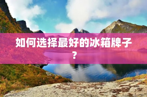 如何选择最好的冰箱牌子？