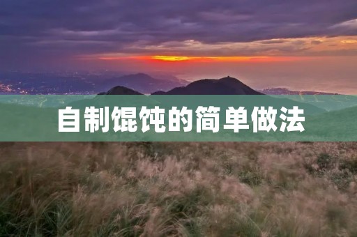 自制馄饨的简单做法 自制馄饨的简单做法