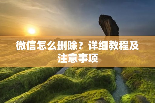 微信怎么删除？详细教程及注意事项
