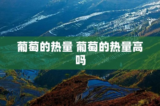 葡萄的热量 葡萄的热量高吗