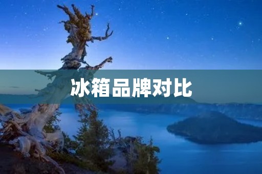 冰箱品牌对比：哪个品牌更值得购买？