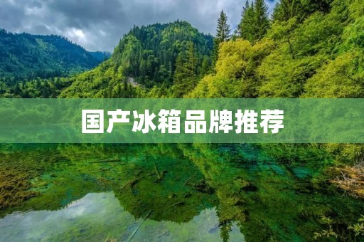 国产冰箱品牌推荐：性价比高的好选择