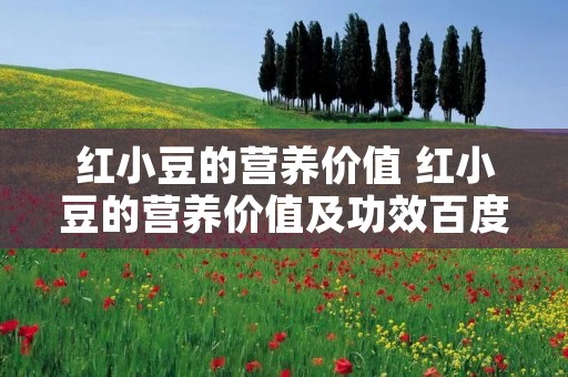 红小豆的营养价值 红小豆的营养价值及功效百度百科 红小豆的营养价值 红小豆的营养价值及功效百度百科