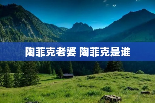 陶菲克老婆 陶菲克是谁
