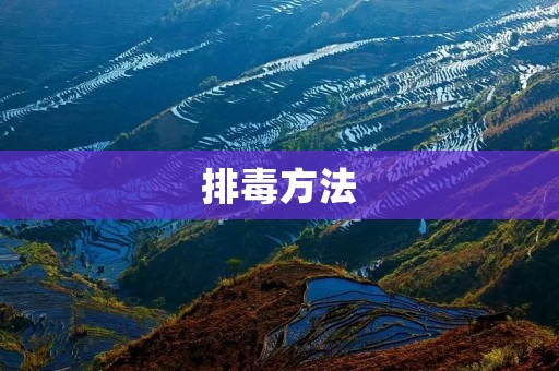 排毒方法:让身体更健康 排毒方法:让身体更健康