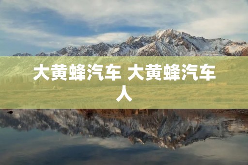 大黄蜂汽车 大黄蜂汽车人