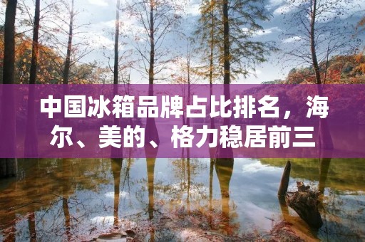 中国冰箱品牌占比排名，海尔、美的、格力稳居前三