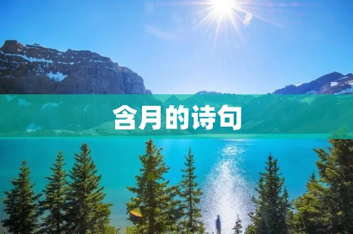 含月的诗句