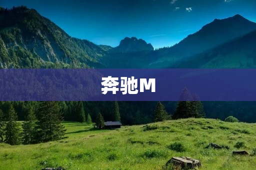 奔驰M:大众品牌中的豪华代表 奔驰M:大众品牌中的豪华代表