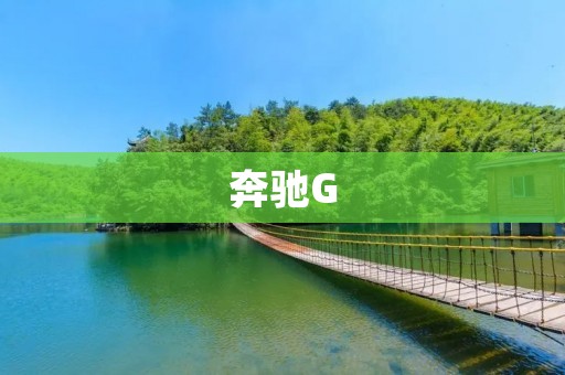 奔驰G:豪华越野SUV的代表之作 奔驰G:豪华越野SUV的代表之作