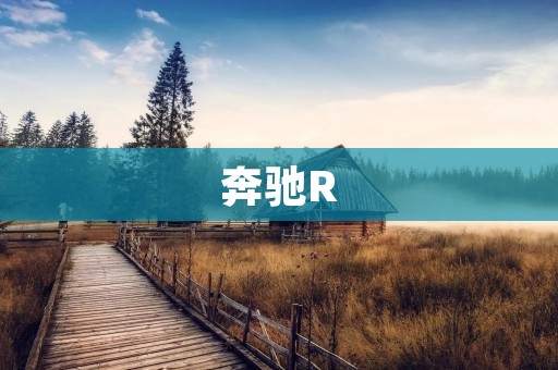 奔驰R:豪华SUV的典范 奔驰R:豪华SUV的典范