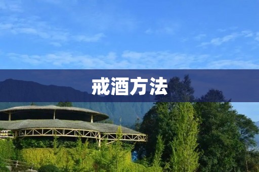 戒酒方法:如何让自己走出酒精的泥潭 戒酒方法:如何让自己走出酒精的泥潭