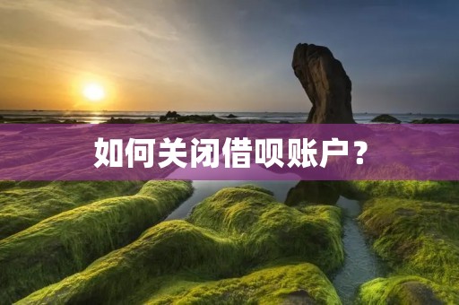 如何关闭借呗账户? 如何关闭借呗账户?