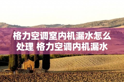 格力空调室内机漏水怎么处理 格力空调内机漏水是什么原因造成的